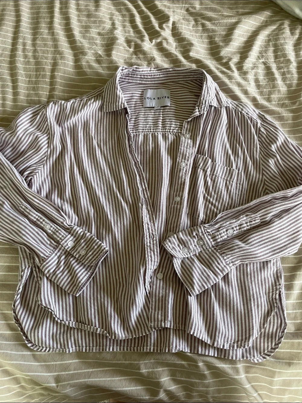 Lola River Women's Striped Button-Down Shirt in Brown and White - Picture 1 of 4